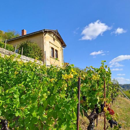 Ferienhaus Und Strausswirtschaft Im Weinberg فرايبورغ المظهر الخارجي الصورة