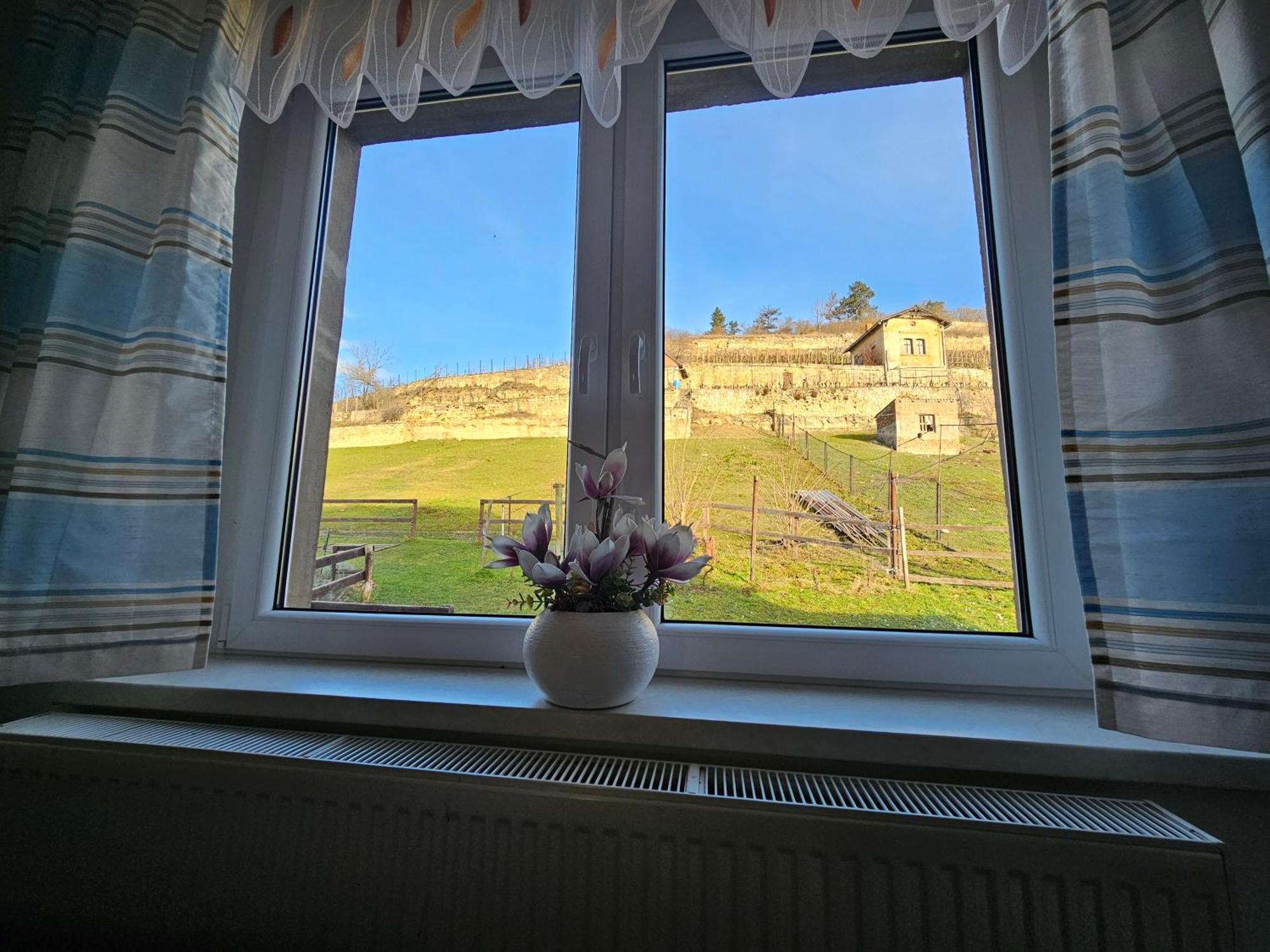 Ferienhaus Und Strausswirtschaft Im Weinberg فرايبورغ المظهر الخارجي الصورة